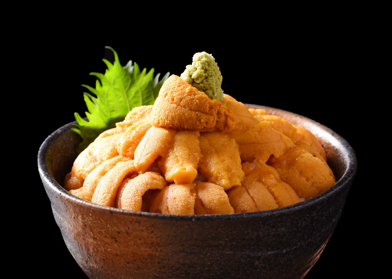 ウニ丼イメージ